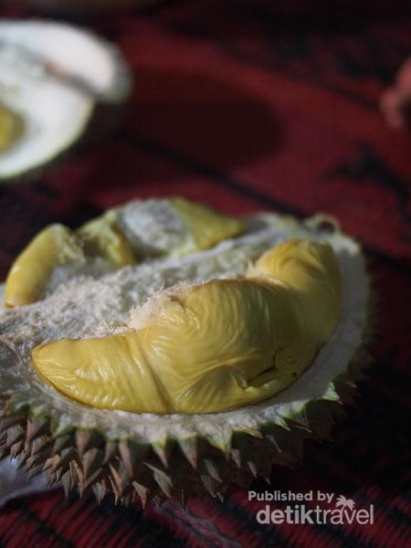 Aaaaaa durennnn...!!!!RT <a href="/detikcom/">detikcom</a> Pesta Durian di Kediri, Bisa Banget! detik.id/Vqqltd via <a href="/detikTravel/">detikTravel</a>