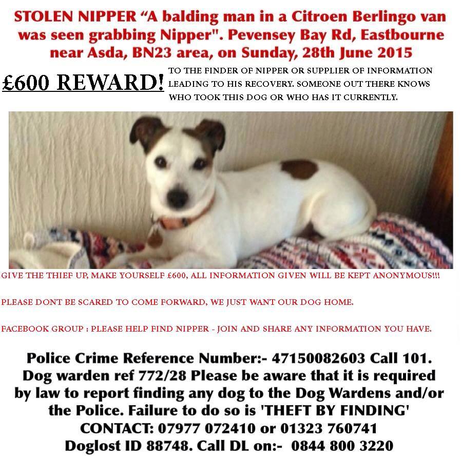 josmani4's tweet image. @DogsTrust Reward now £600 - someone must know where NIPPER is.Pls RT Thanks x