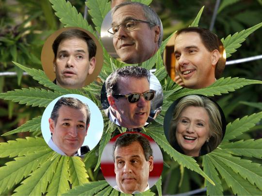 420 Interactive tweet media