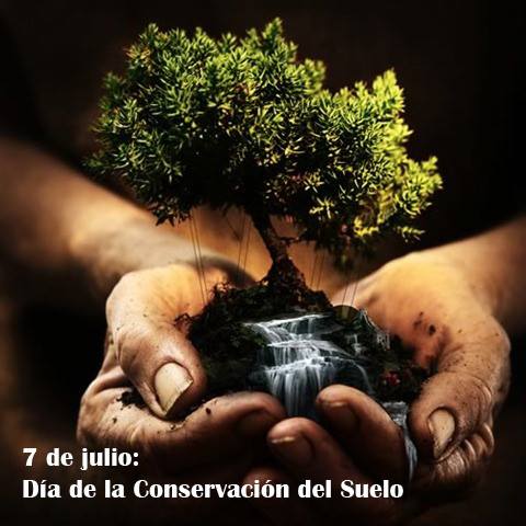 El 7 de julio, es el Día de la Conservación del Suelo, entérate qué es acá !! bit.ly/1rIAcb8