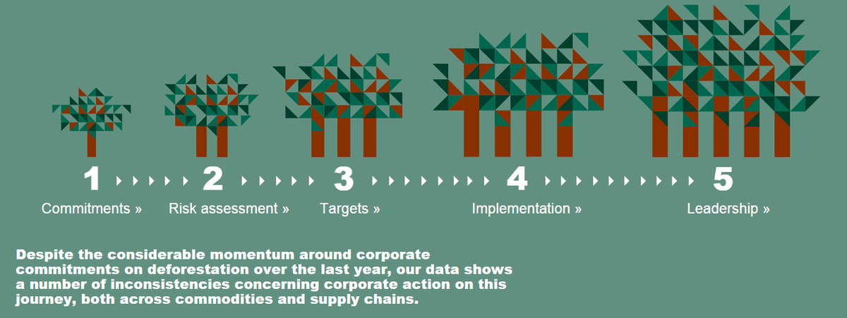 CDP's tweet photo. 90% of global trade in palm oil is covered by #zerodeforestation goals, now it’s time for action #NCE2015 #CDPForests http://t.co/EsqjjK4gHP