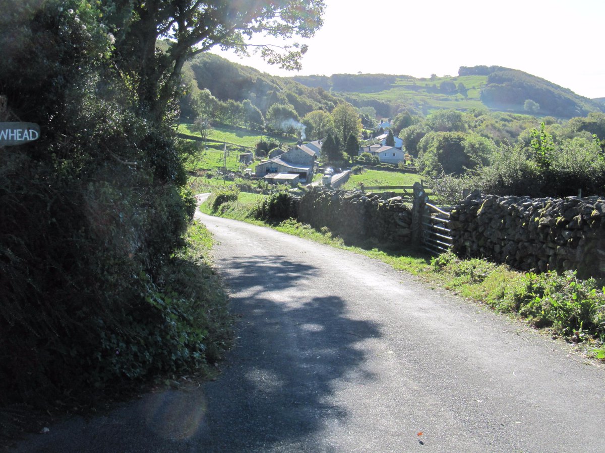 TheGamechanger's tweet image. Just done a #special #request in #SparkBridge for lovely old lady to strim her verges as she cannot manage to garden