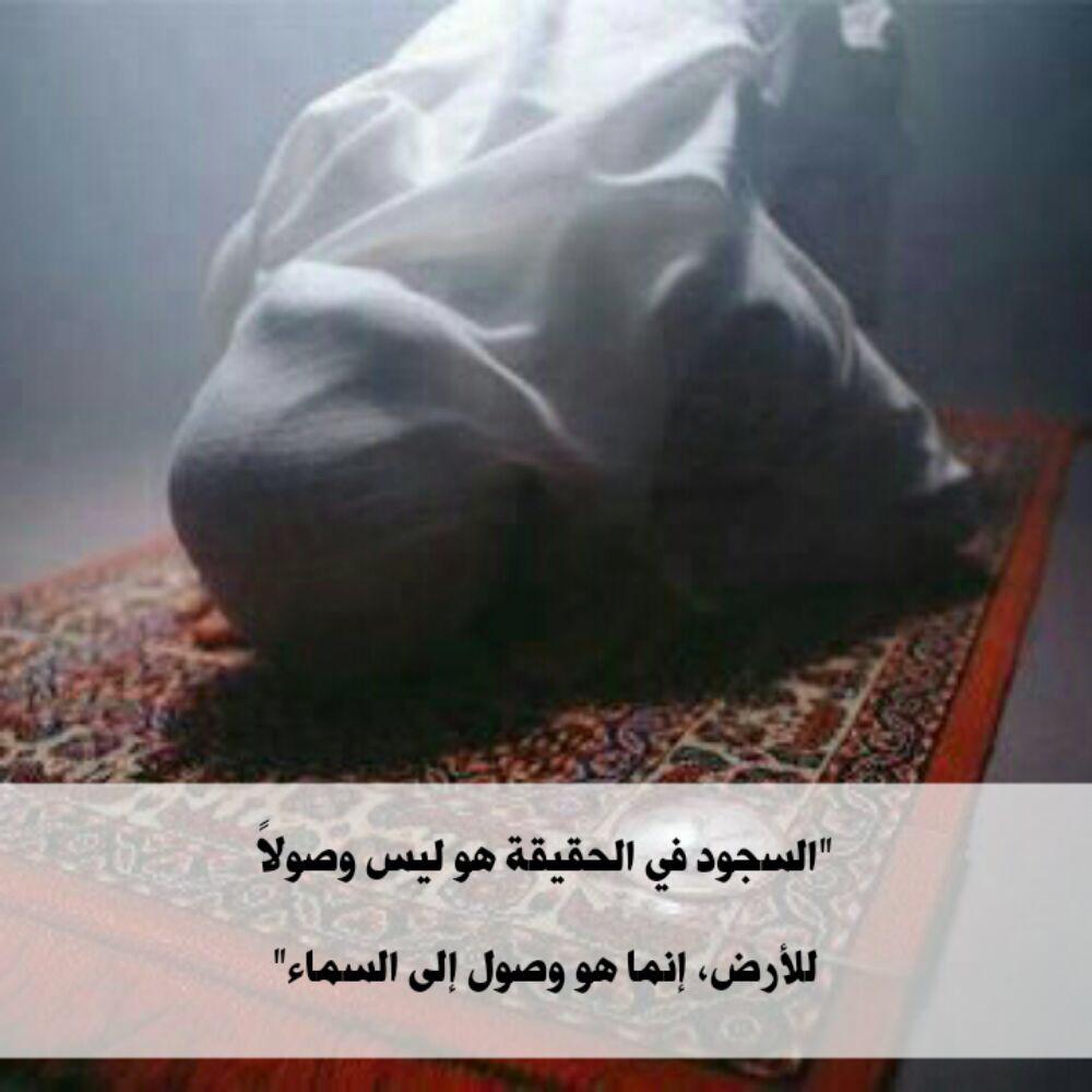 gass5001's tweet photo. رب اقبلني والقارئين في عبادك العتقاء من النار .. وفقنا يا جواد لثواب ليلة القدر ..
وبارك لنا في هذه العشر ..
يا كريم. http://t.co/gKik5imboO