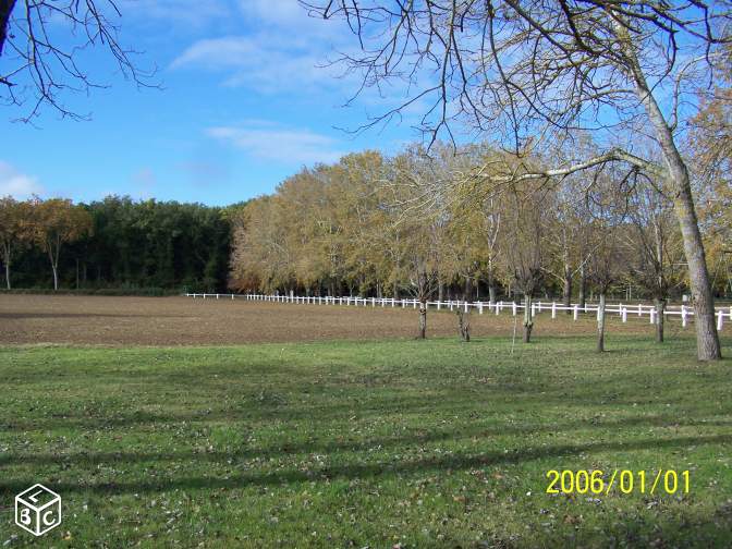 Toulouse area 26 acres, 11 bedrooms, numerous outbuildings unlimited potential 3M€ - DMS We Realise Your Dreams