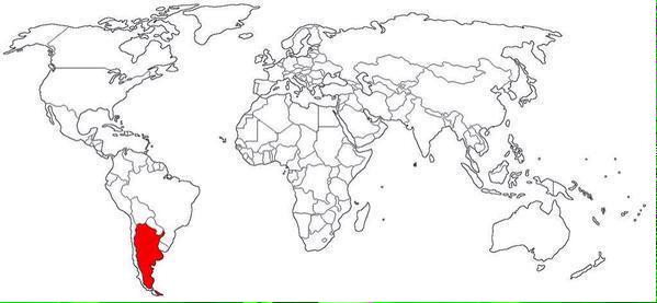 ElContraDTodo's tweet photo. En rojo, países en el mundo donde abundan boludos Anti Messi http://t.co/XeN91Lk4pF