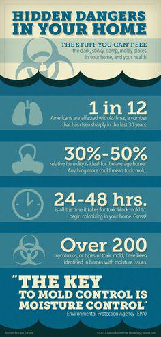 Airsafe_Inc's tweet image. Every home has hidden dangers not always visible to the eye. #Mold is one of them! #MoldControl