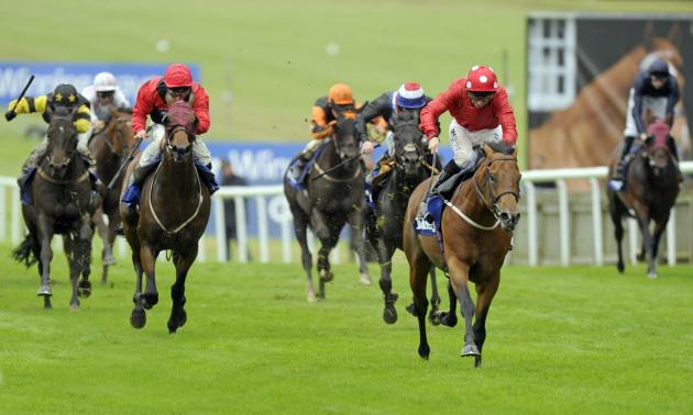 Timeform's tweet image. Can Brazen Beau end a long line of Australian disappointment in the July Cup? &amp;gt; bit.ly/1JRNAAw