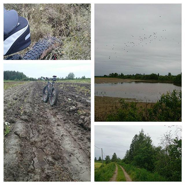 TuttoMTB's tweet photo. lakeudenviljameri / Tulvaa katsomassa #lรคskipyรถrรค llรค. Vesi laskeutunut jo paljon.
#nivala #kalajoki #tulva #sateeโฆ http://t.co/d4306k1aUI