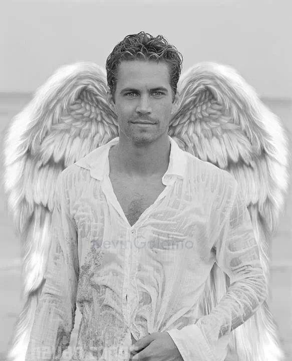 willbird2002's tweet image. 