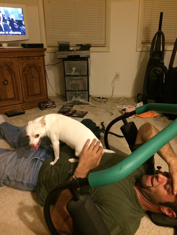 EverJasonsgal's tweet image. My husband wants to work out but someone won't let him! Lol #littledoglove #cannotworkout