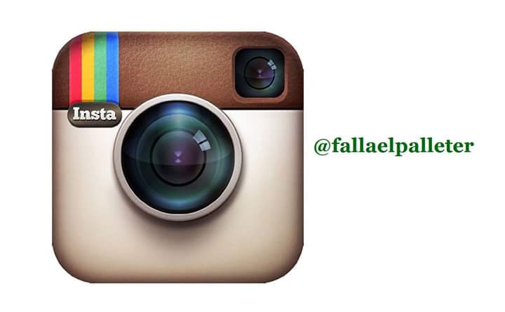 estrenamos cuenta de Instagran @fallaelpalleter 
Si queréis estar informados de nuestra comision, SEGUIRNOS!!!