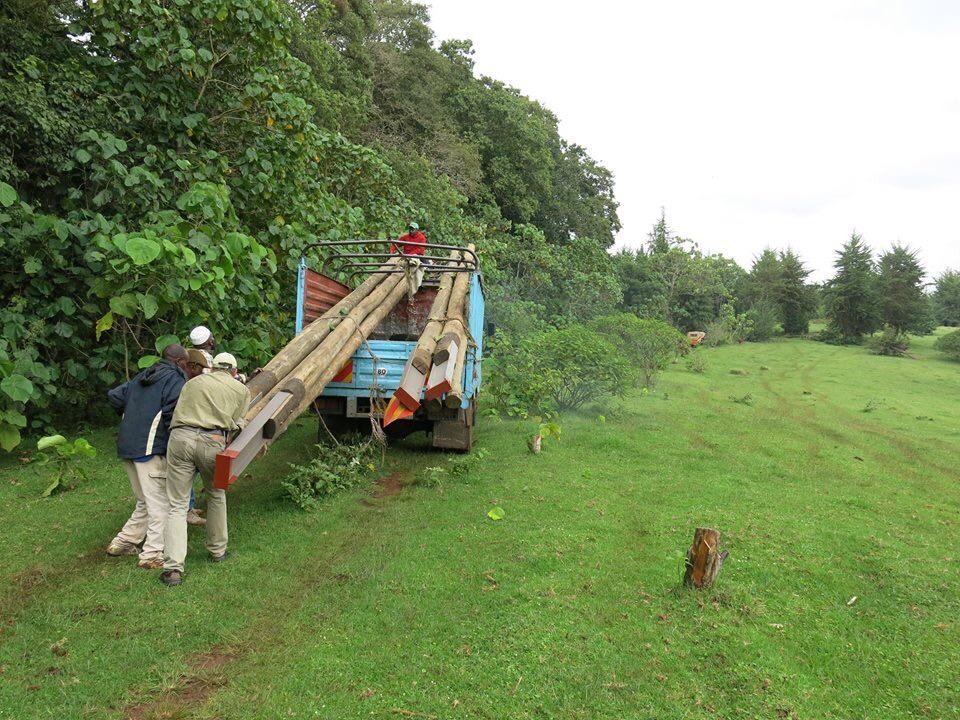RConservancy's tweet photo. Building the log cabin! 🌲 #logcabin #forest #camping #adventure #outdoors http://t.co/1CAmpiskfa