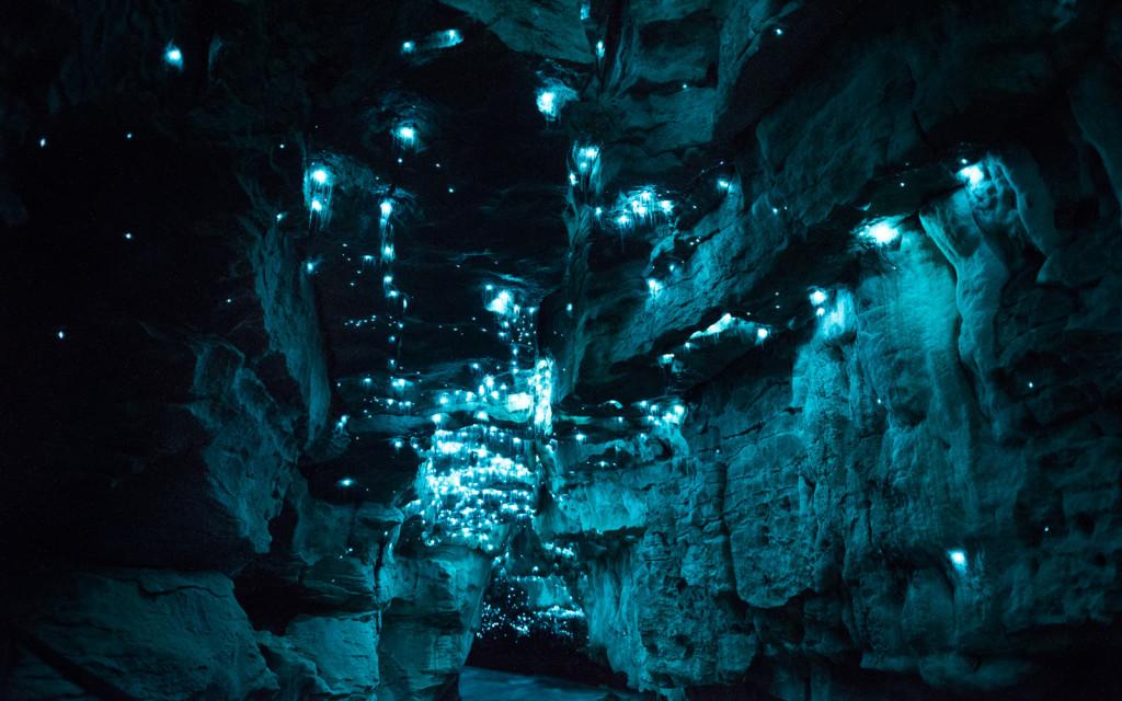 Carnivorous glowworms! Mesmerizing cave photos by <a href="/joemichaelmedia/">Joseph Michael</a> <a href="/WIREDPhoto/">WIRED Photo</a> wrd.cm/1NLgMKn