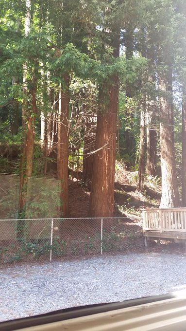 My backyard :) http://t.co/msBzqR2qZD