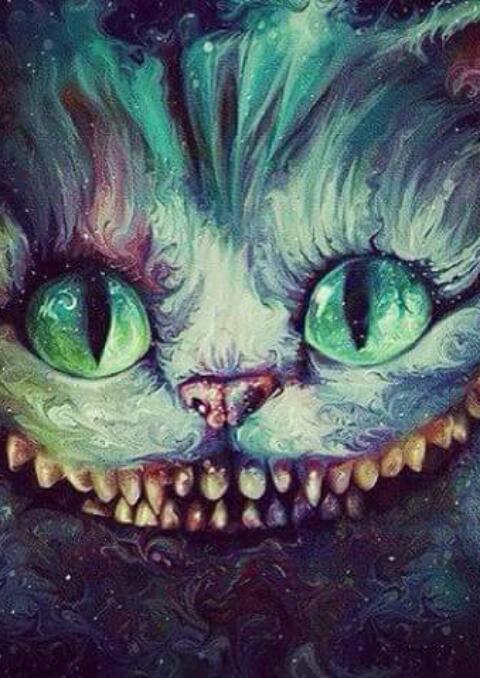 Aridaydan's tweet photo. ¿Qué imagen te viene a la mente cuando escuchas la palabra 'div...   http://t.co/INJBGJ1DFT http://t.co/BPcztG4NXK