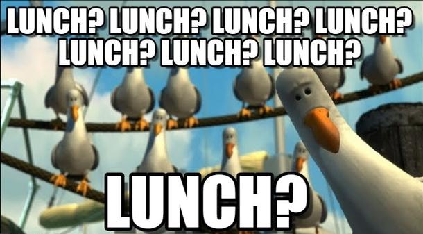 MemeGuy1's tweet photo. My office at  #meme #office #funny #humor #comedy #lol http://t.co/SWWzV9rRbq http://t.co/GOyqegsX3X