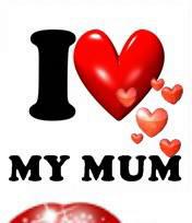 I love my mother.