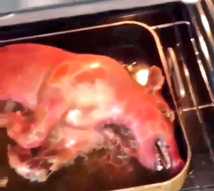 NikkoGoonBoy's tweet photo. When we made a pig 🐷🐽 🍴 http://t.co/fE4ghSBsPY