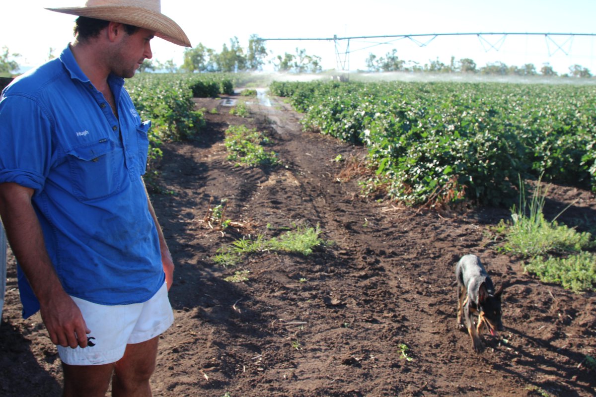 Hugh Pursehouse from <a href="/L_PYouth/">LiverpoolPlainsYouth</a> says he's "gutted" &amp; "disappointed w the government" over the #Shenhua mine approval.