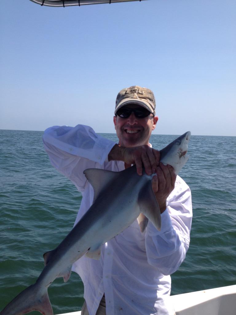 GCTJrMaster's tweet photo. #SharkWeek http://t.co/Bhe1jLD6zD
