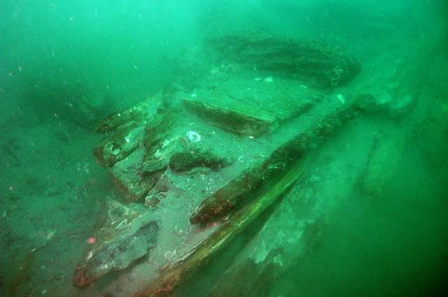 Trevolta.com tweet media