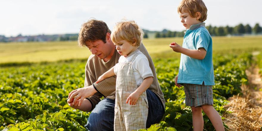 Apply now for a $10k #SeedsofRenewal grant to help rural communities thrive @FRRR_OZ anz.co/PjIlp