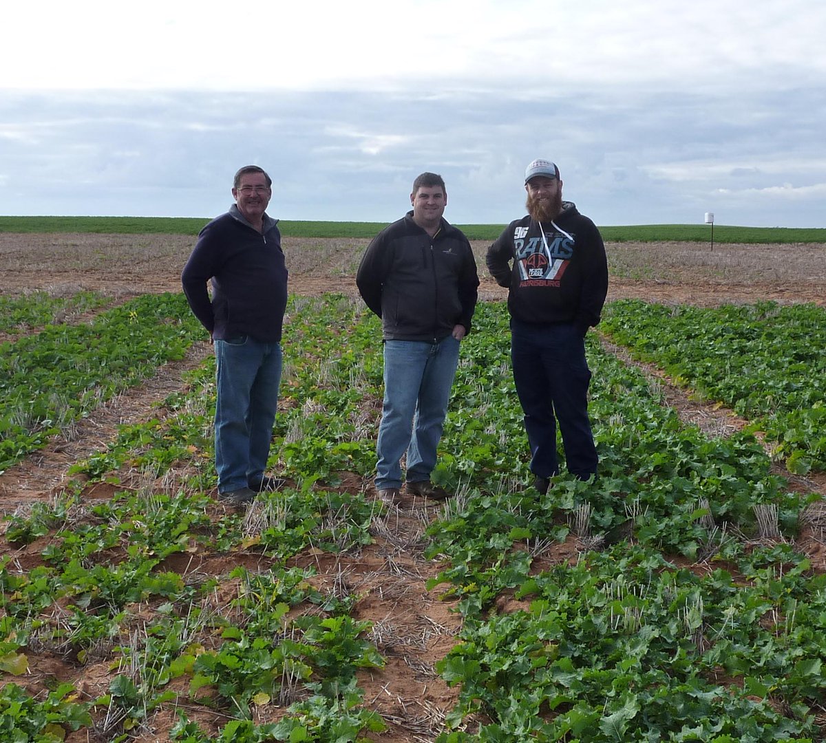 Mallee Sustainable Farming tweet media