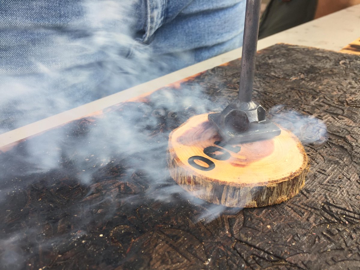 Coosa Lodge, WWW tweet media