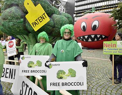 MyTreeTV's tweet photo. @erklaerung where can get the #freebroccoli ? cc @ecogreenlove @eco_ch_forum @WyssGarten @KonsumHelden @watson_news http://t.co/erdGyExT6f