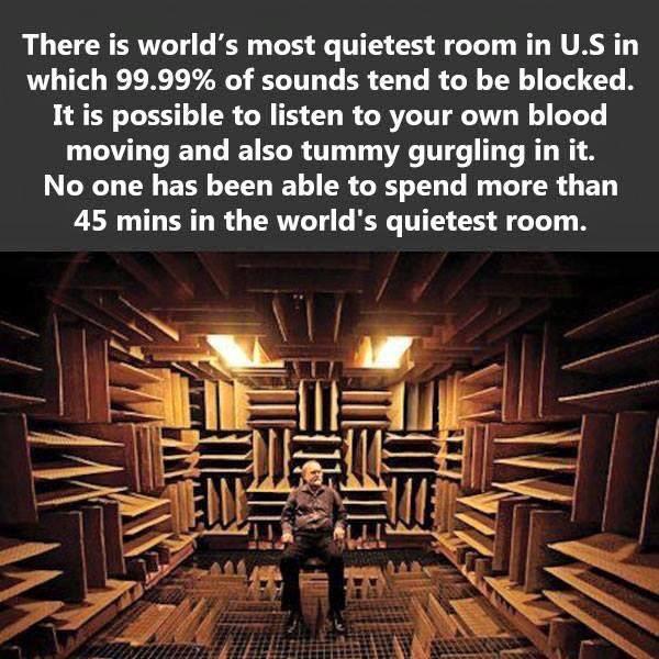 Lebuti Real Estate On Twitter World S Quietest Room Will