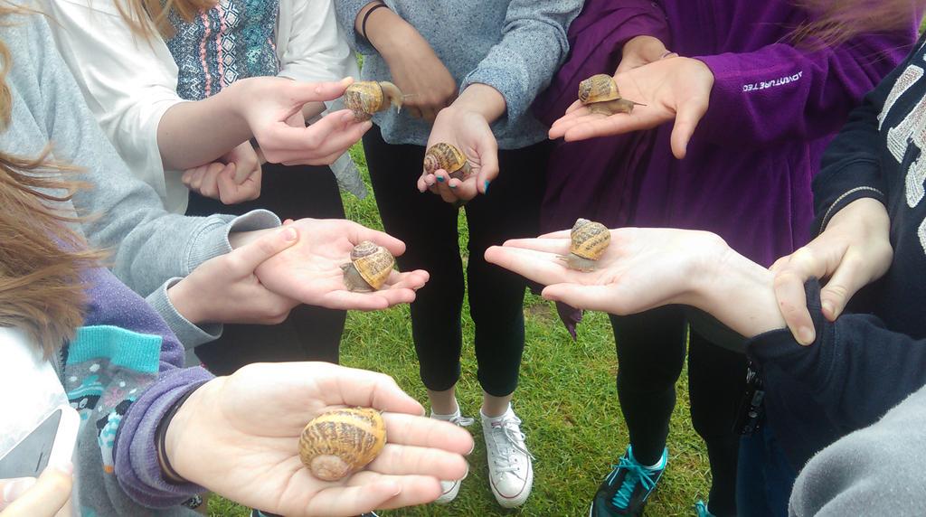 RAWLanguages's tweet photo. Snail handling at l'escargorière du Choquel (before eating!) http://t.co/77sDyrF8CK