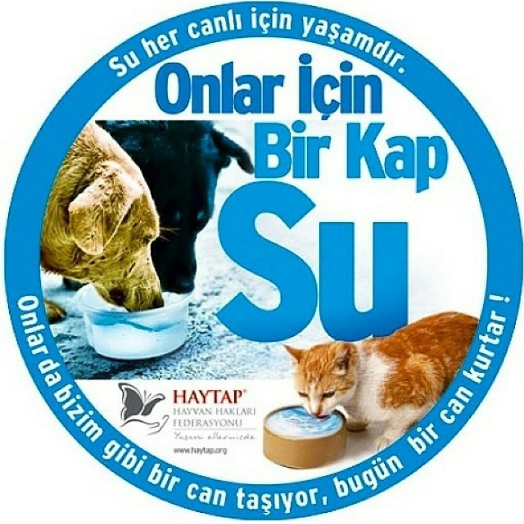 Yerel Hayvan Koruma (@hayvankoruma) on Twitter photo 