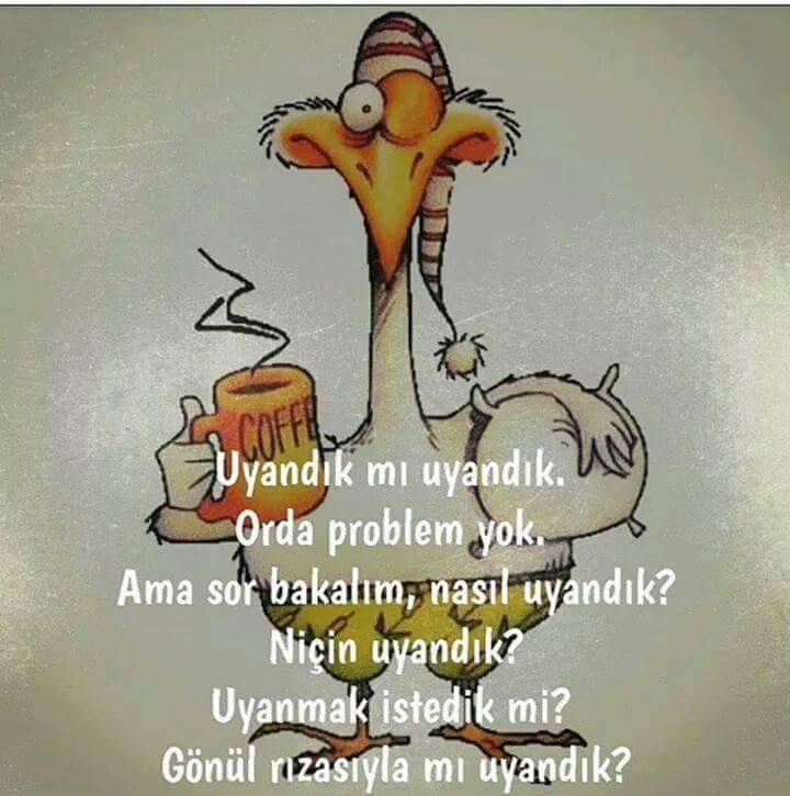 Mening hamkasbim korporativ partiyada mendan qochdi, jinsiy aloqa yoq edi.