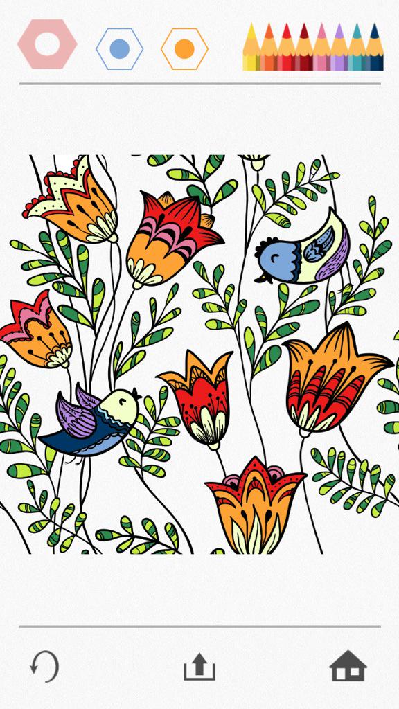 Colorfy Official Colorfyapp Twitter Colorfy Official Colorfyapp Twitter