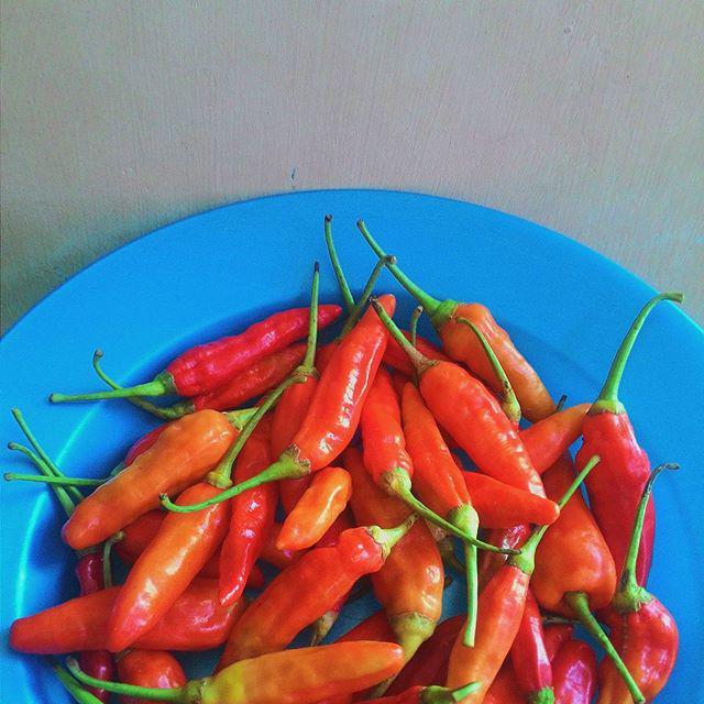 Photo by instagram: <a href="/thebasokampung/">THE BASO KAMPUNG</a> #BandungBanget