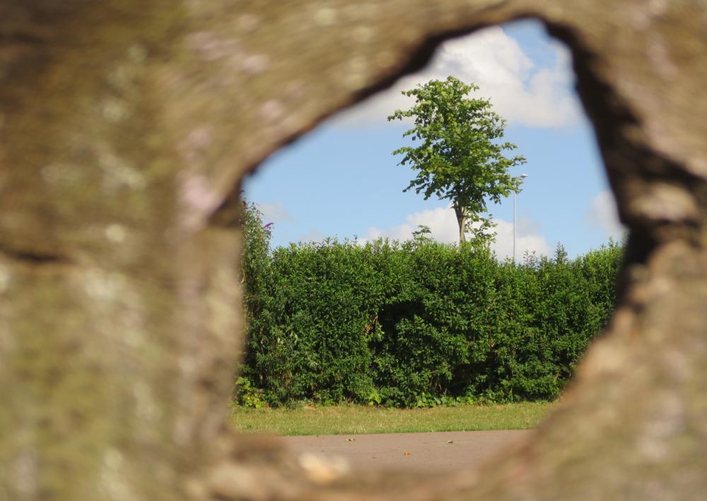 naturebygreen's tweet photo. Love this #viewonlife photo by pupil yesterday during our #Bristol #school Wild Wonder family session http://t.co/VRxiAsZjq0