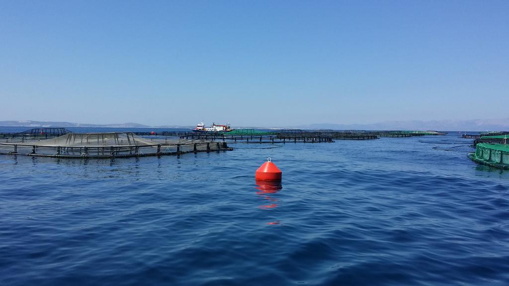 Longline Environment (@longlineenv) on Twitter photo #Aquaculture farm visit for the <a href="/WorldBank/">World Bank</a> and <a href="/FAOfish/">Fisheries & Aquaculture</a> site selection workshop. #Aquaculture farm visit for the <a href="/WorldBank/">World Bank</a> and <a href="/FAOfish/">Fisheries & Aquaculture</a> site selection workshop.