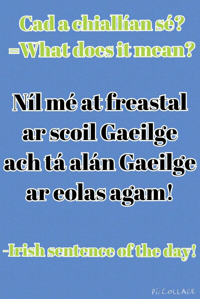 TheSingingLady2's tweet photo. Every day I will be posting a sentence in irish and you have to guess what it means!
Today's is ...
I made that btw! http://t.co/tWMQr1WDNf