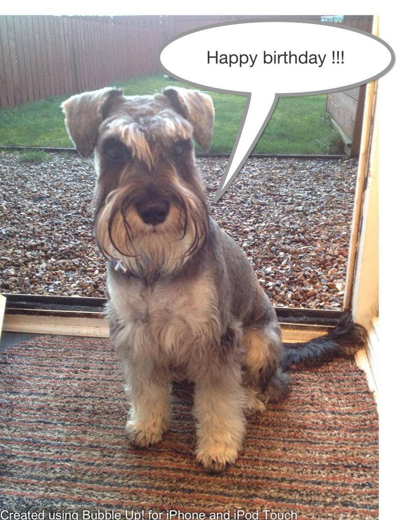 Happy 50th Birthday ya auld dog you! Have a good one 