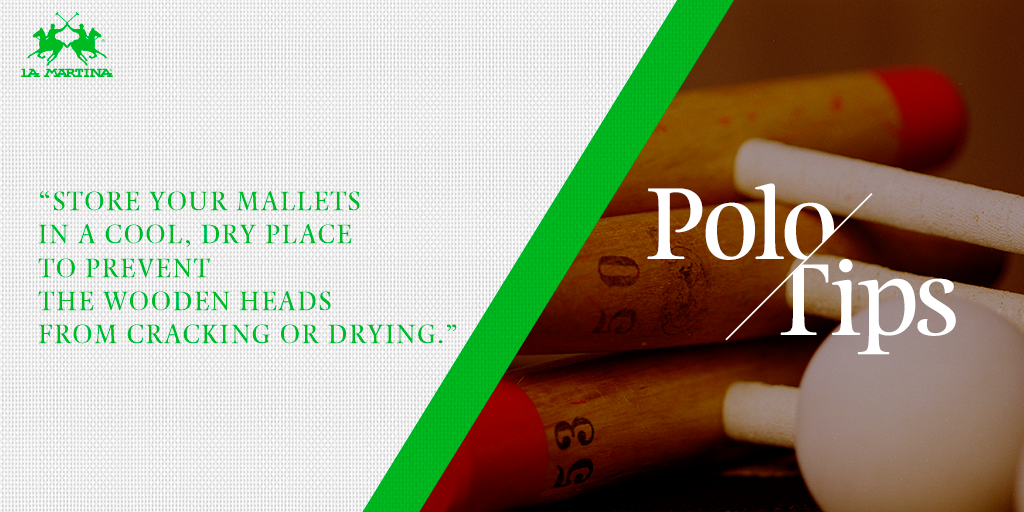 LaMartinaPolo's tweet photo. Make sure your keep your #polo sticks dry! #WednesdayWisdom #PoloTips #WeArePolo http://t.co/Jl1ia2UC7o