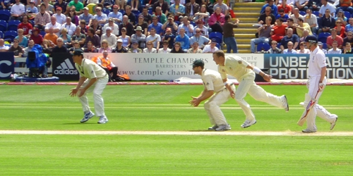 thecsp's tweet photo. With The #Ashes underway, read how physiotherapy helps cricketers get back on the pitch http://t.co/yTrcS83FhD http://t.co/2Fxj71BrVe