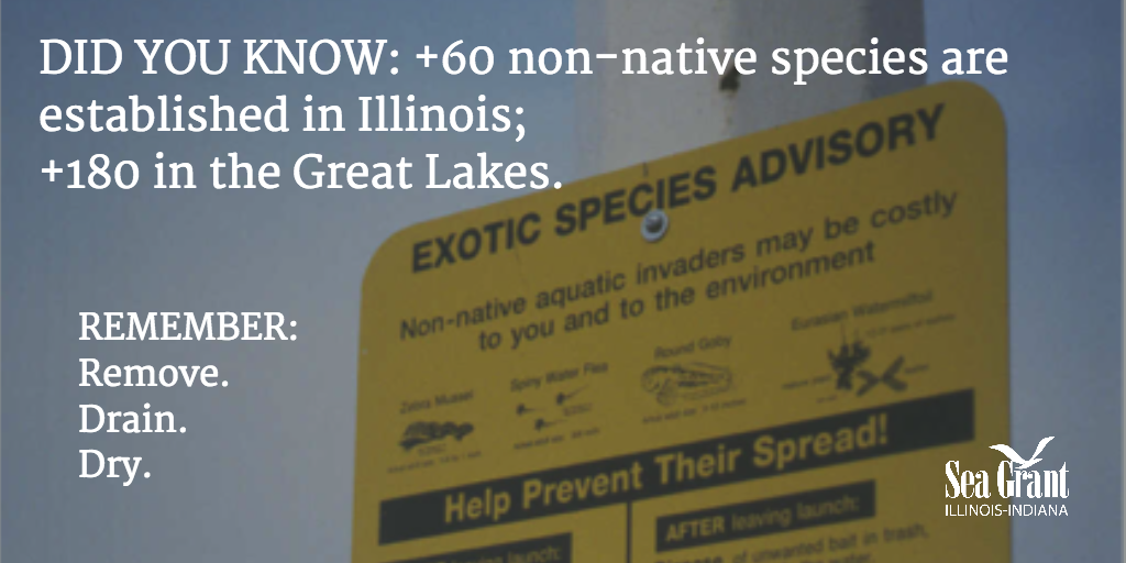 ILINSeaGrant's tweet photo. It's a #CleanWaterWednesday reminder: Be a Hero, #TransportZero. Remove. Drain. Dry. FMI: http://t.co/h0SexuxApP http://t.co/gfkvNLz7VK