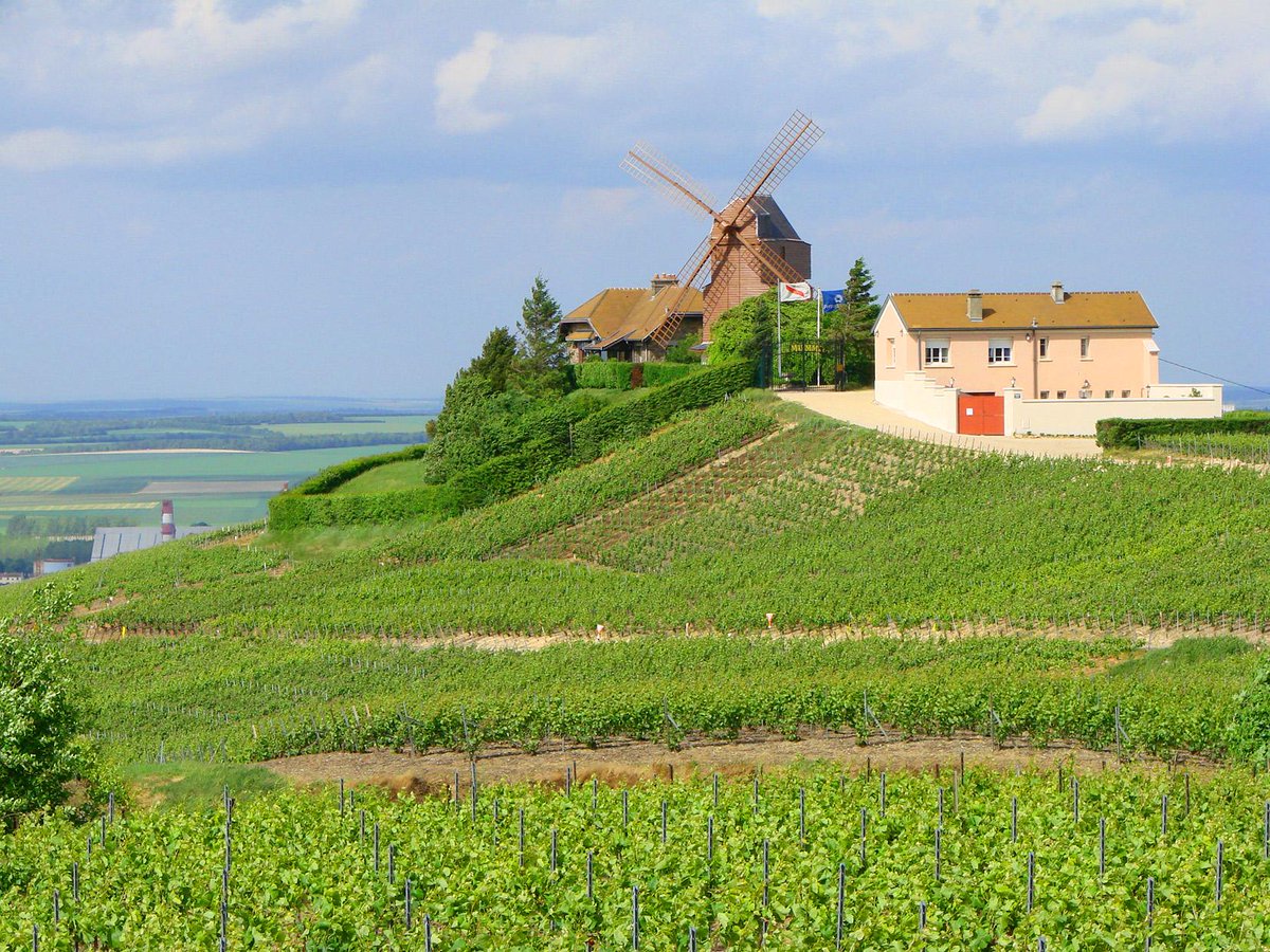 budgetbackpacks's tweet photo. Get a taste of Champagne...#France, that is. #FranceWeek #TheWanderlist #travel #ttot http://t.co/6rFXt0PfKQ http://t.co/RDyNnUUWHq