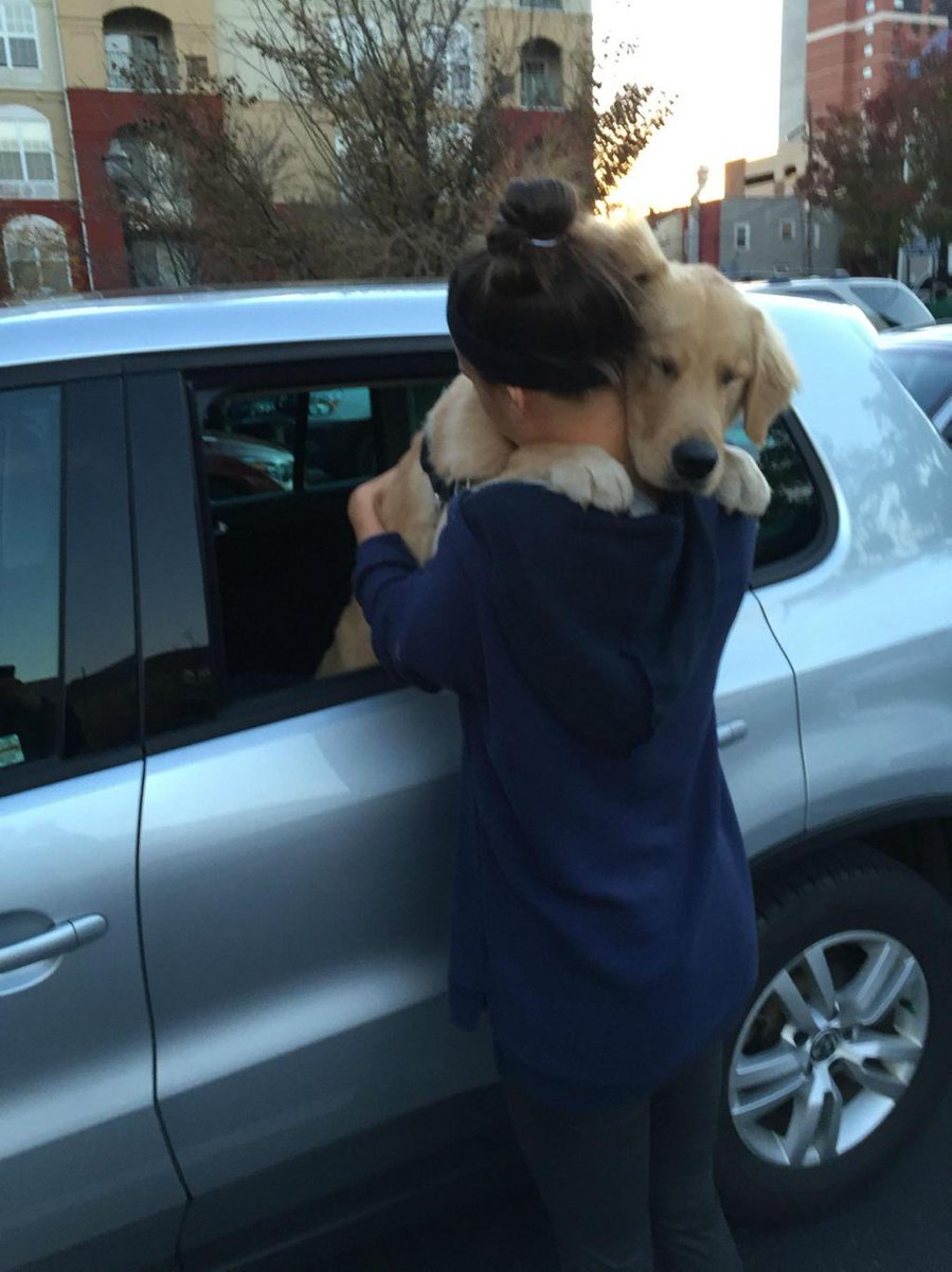 Saying goodbye to dogs is the hardest thing ever