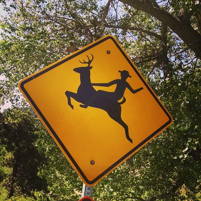 bouldergraffiti's tweet photo. “Yippee ki yay!
#bouldergram #bouldergraffiti #seenonmyrun #trailrunning” ᔥ roctrailrunner http://t.co/bFJDluceTS http://t.co/uB2y0v9QUc