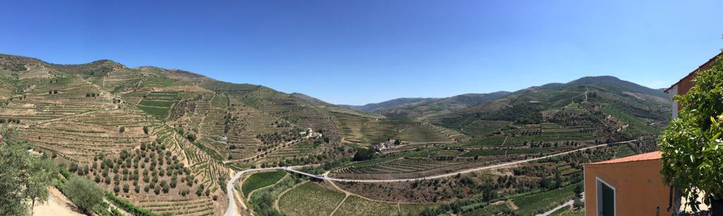 botrytised's tweet photo. @ivdp_ip #scenesfromthedouro @ #QuintaValeMaria http://t.co/2yc48Nw8da