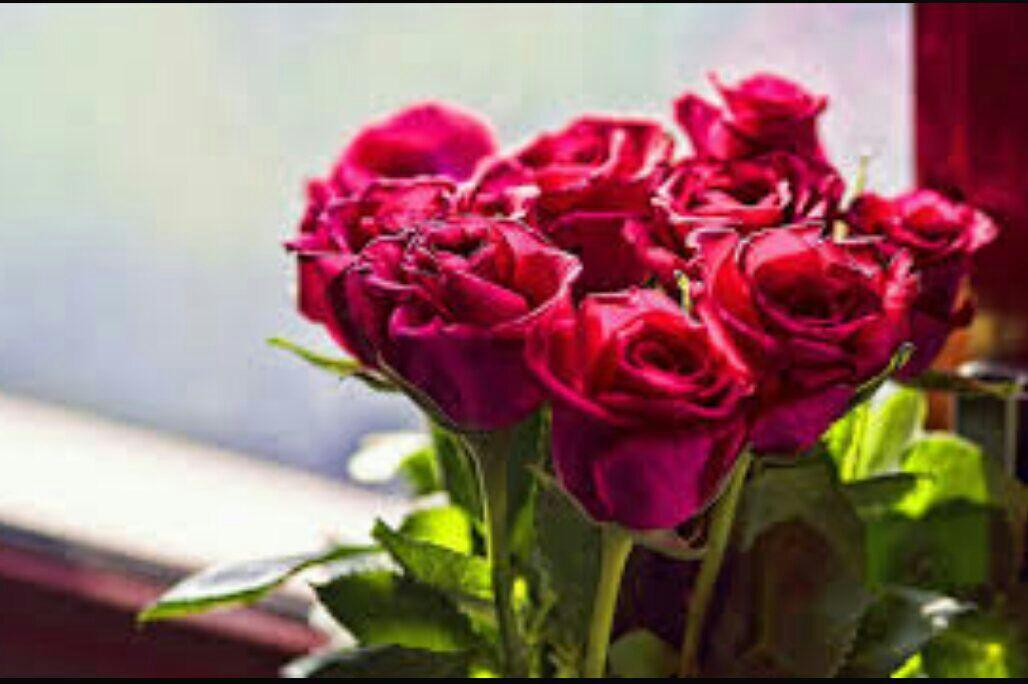  I love you so much my dear neetu singh...happy birthday darling 