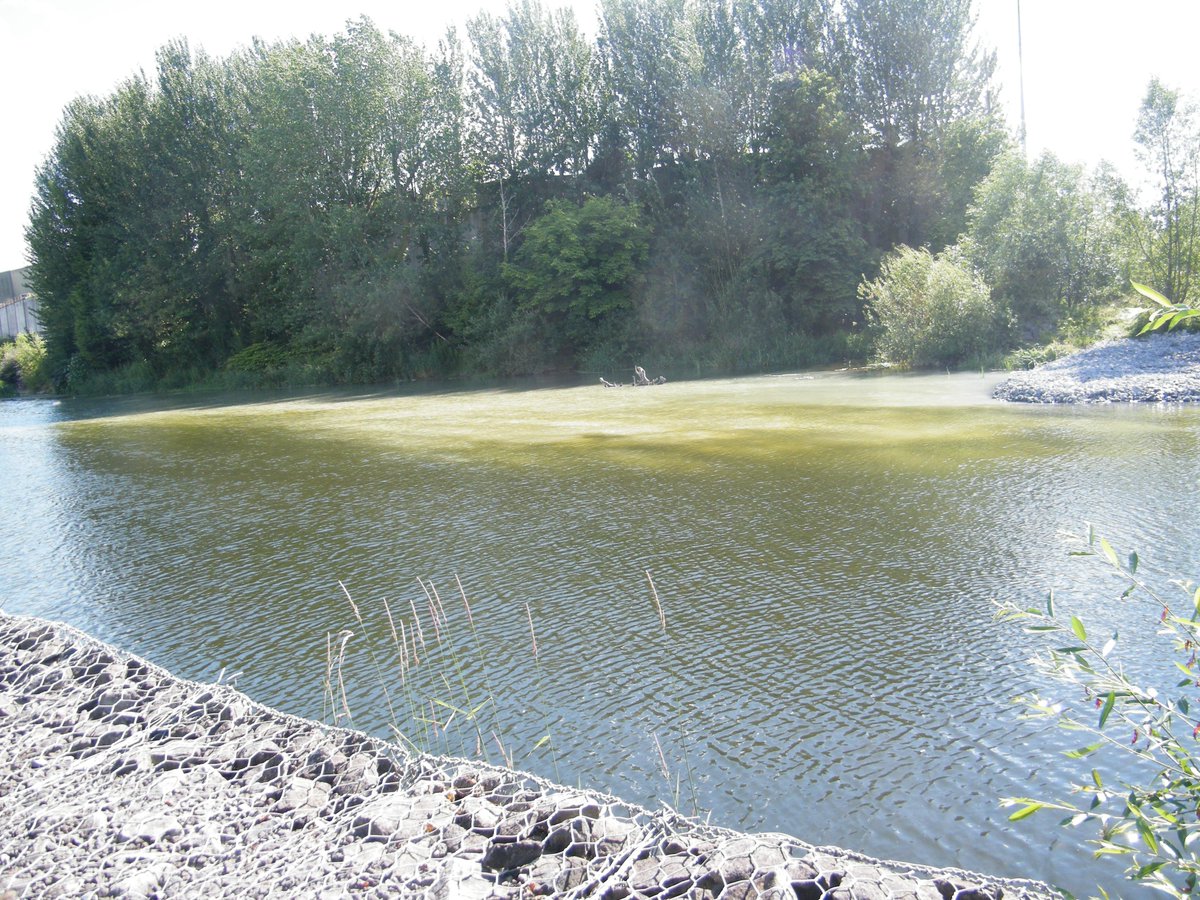 SaveKilkenny's tweet photo. TRUTH OUTS: River Nore SERIOUSLY DEGRADED by 2014 CAS works.https://t.co/61acqdLYpP and https://t.co/r4k9ItQJSt http://t.co/BtwJDiswQW