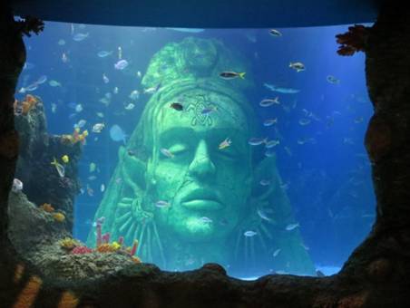 ManchesterAloud's tweet photo. SEALIFE Manchester are offering guests the chance to sleep in their very own sea bed: http://t.co/FV8B4WvUcl http://t.co/oEFlSSD5c7