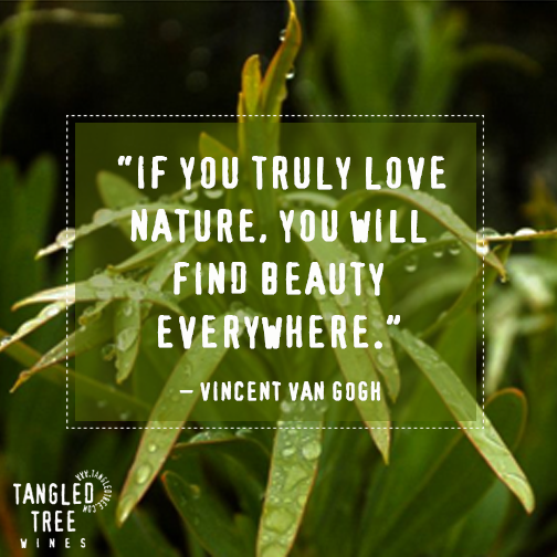 TangledTree's tweet photo. We are so blessed with the best! #Green #TangledTree #Beaula http://t.co/yj1cVmPxCH
